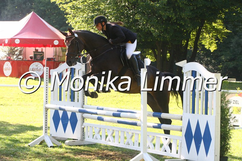 308M1133_Springpferde A.JPG